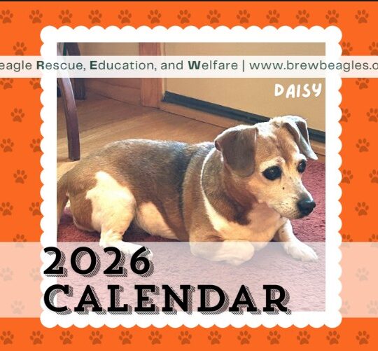 2026 BREW Calendar