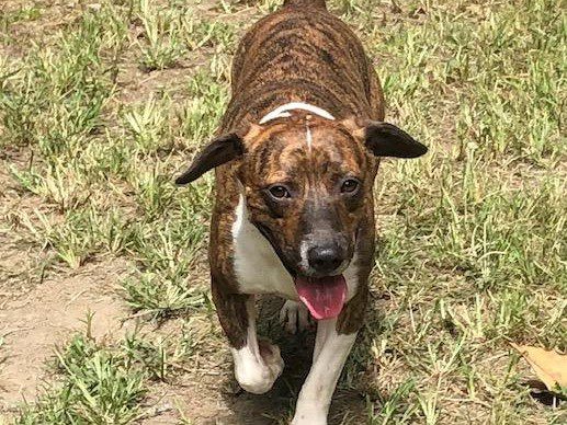 Malachi – Adopted November 2019 Malachi – Adopted November 2019