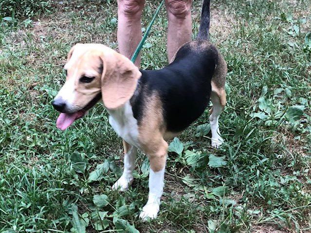 Mia – Adopted September 2019 Mia – Adopted September 2019