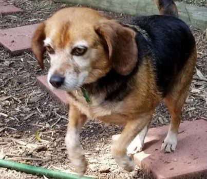Sara – Adopted August 2019 Sara – Adopted August 2019