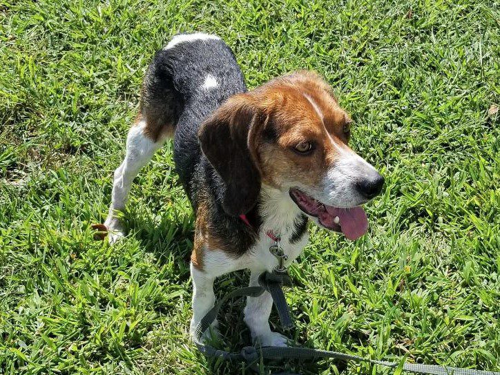 Russell – Adopted October 2019 Russell – Adopted October 2019