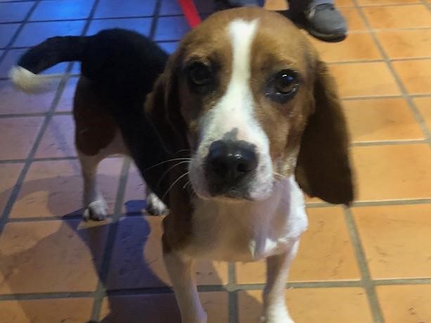 Jackson – Adopted February 2020 Jackson – Adopted February 2020