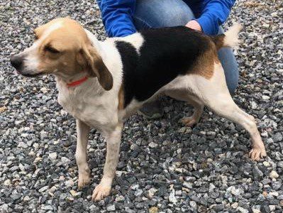 Kiara – Adopted February 2021 Kiara – Adopted February 2021