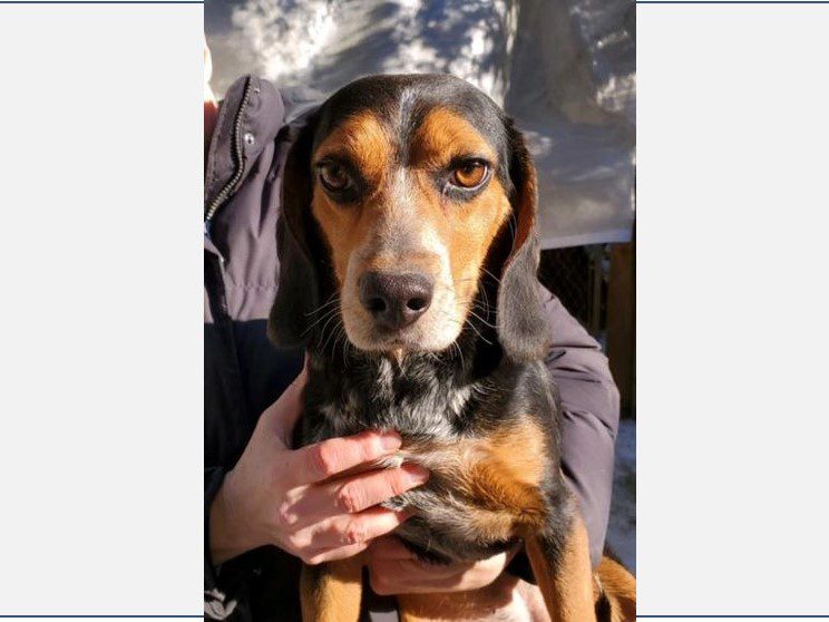 Cleopatra – Adopted May 2021 Cleopatra – Adopted May 2021