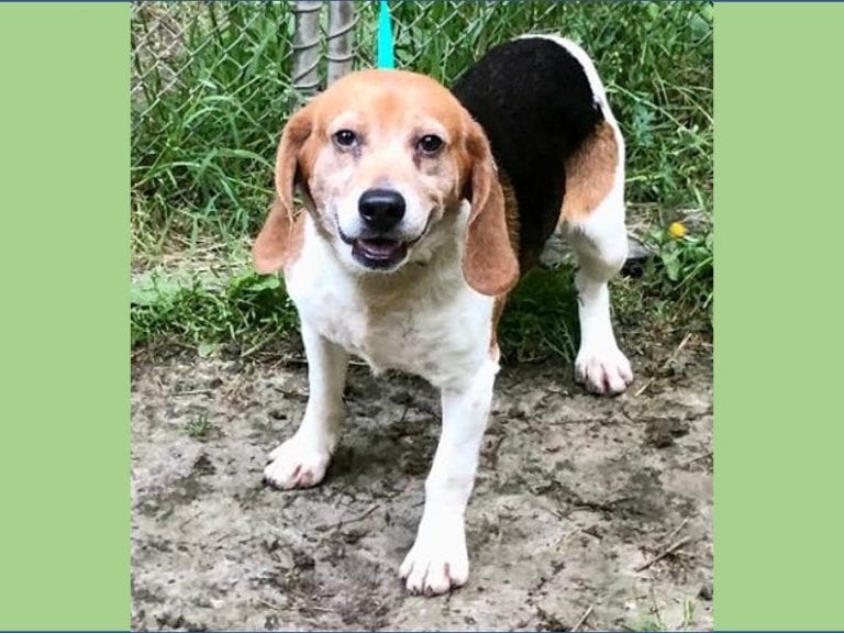 Chester – Adopted June 2021 Chester – Adopted June 2021