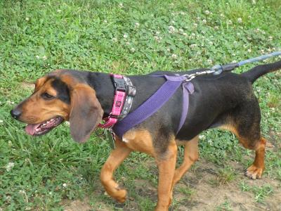 Shelley – Adopted July 2021 Shelley – Adopted July 2021
