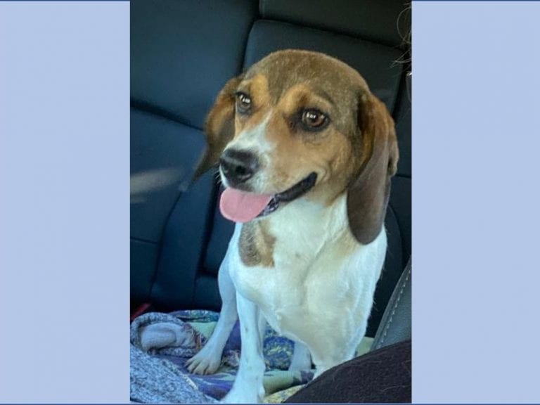 Larissa – Adopted September 2021 Larissa – Adopted September 2021