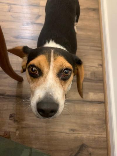 Rohan – Adopted January 2022 Rohan – Adopted January 2022