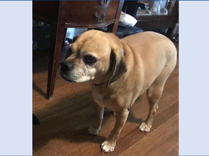 Abe Pugoda