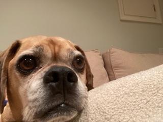 Abe Pugoda