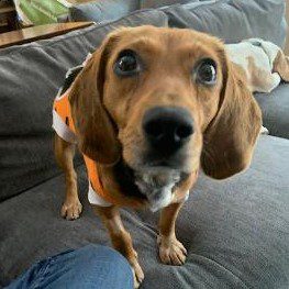 Elizabeth – Adopted February 2022 Elizabeth – Adopted February 2022