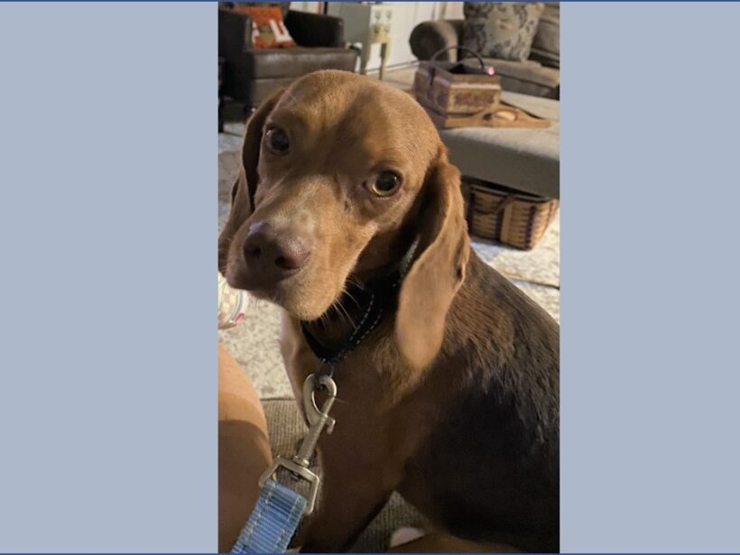 Redford – Adopted October 2022 Redford – Adopted October 2022