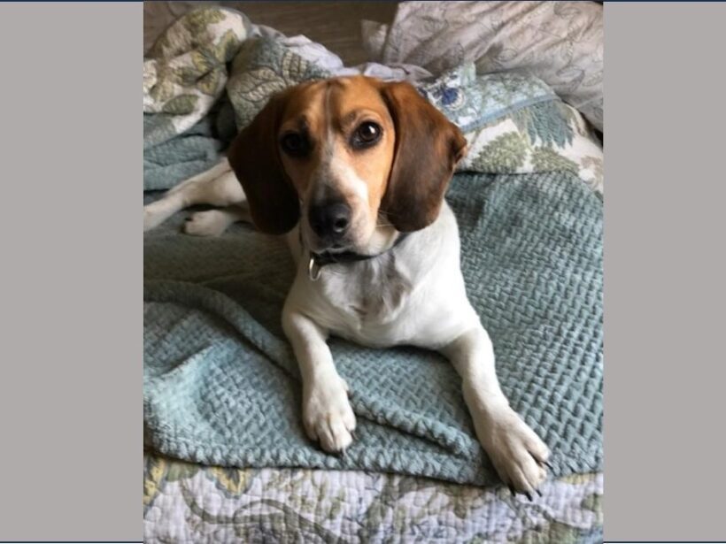 Zella – Adopted July 2024 Zella – Adopted July 2024