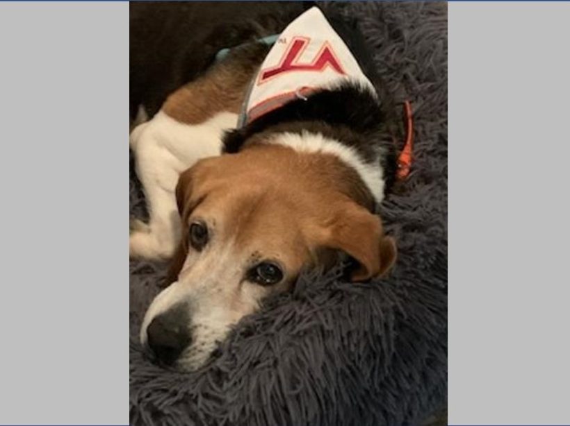 Derby – Adopted September 2023