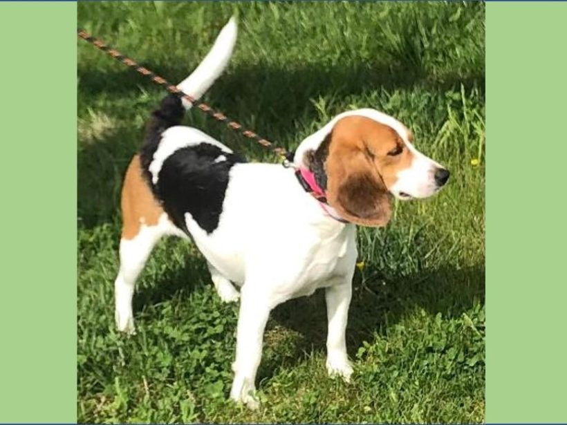 Mahalia – Adopted July 2023