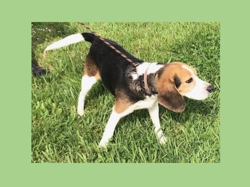 Sedona – Adopted April 2023
