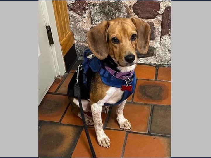 Elias – Adopted August 2023 Elias – Adopted August 2023