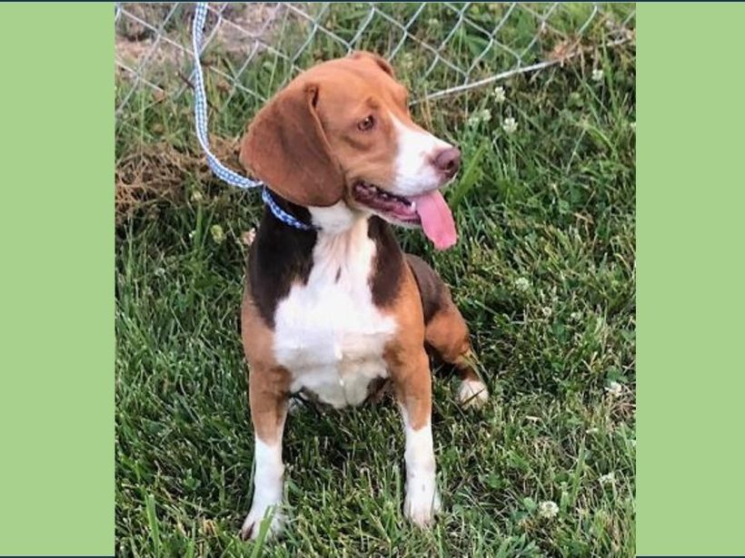 Ashlyn – Adopted December 2024