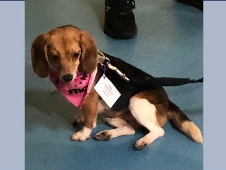 Jolene – Adopted September 2023 Jolene – Adopted September 2023