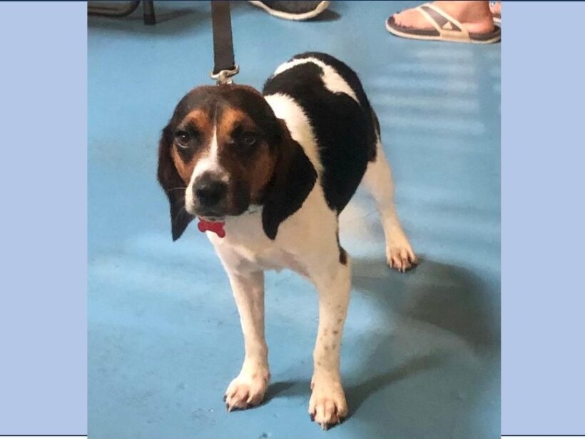 Raggedy Ann – Adopted January 2024