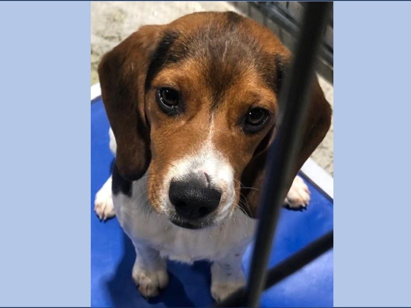 Mayte – Adopted January 2024