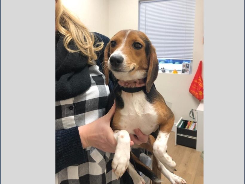 Riley – Adopted February 2024