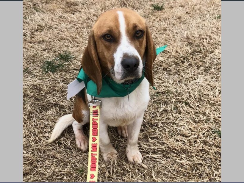 Hershey – Adopted May 2024