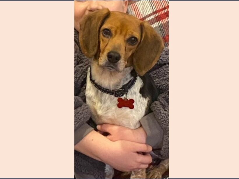 Nona – Adopted April 2024