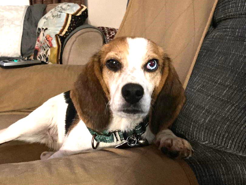 Sprinkle -Adopted April 2025 Sprinkle -Adopted April 2025