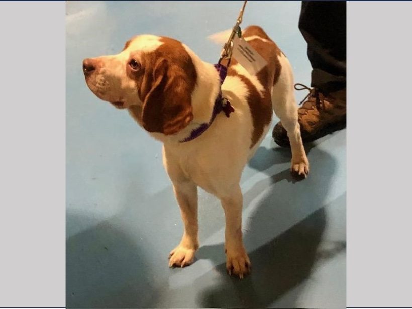 Quigley – Adopted June 2025