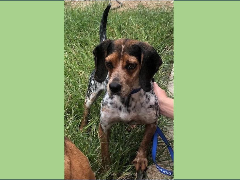 Reyna – Adopted November 2024 Reyna – Adopted November 2024