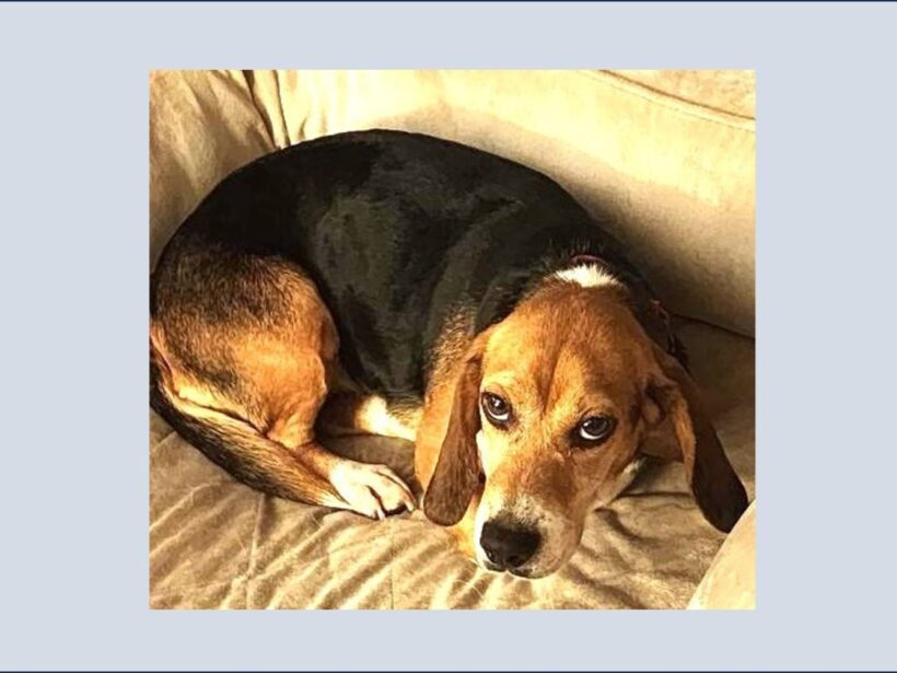 Kibby – Adopted September 2025 Kibby – Adopted September 2025