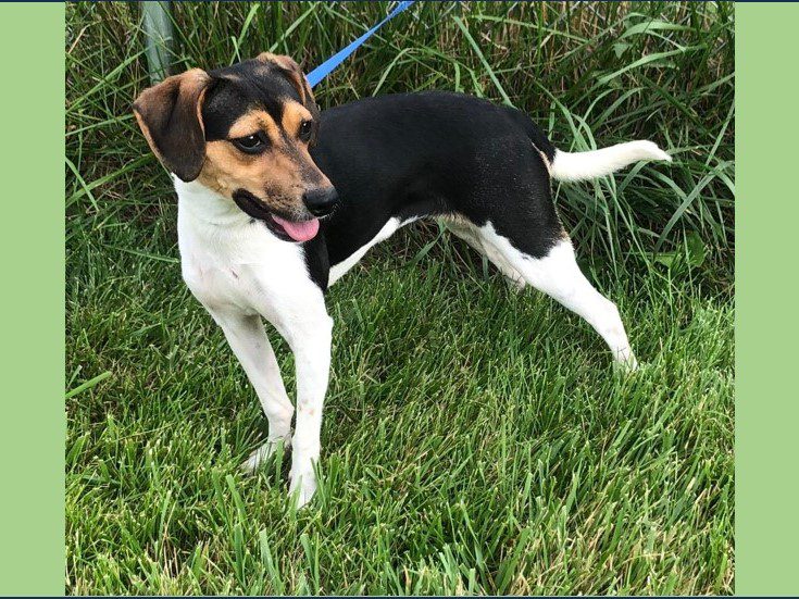 Marietta – Adopted July 2025 Marietta – Adopted July 2025