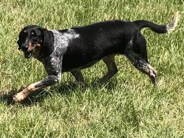 Moana – Special Needs Moana – Special Needs