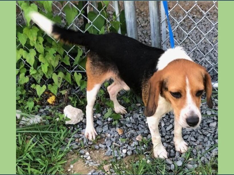 Tahoe – Adopted July 2025 Tahoe – Adopted July 2025