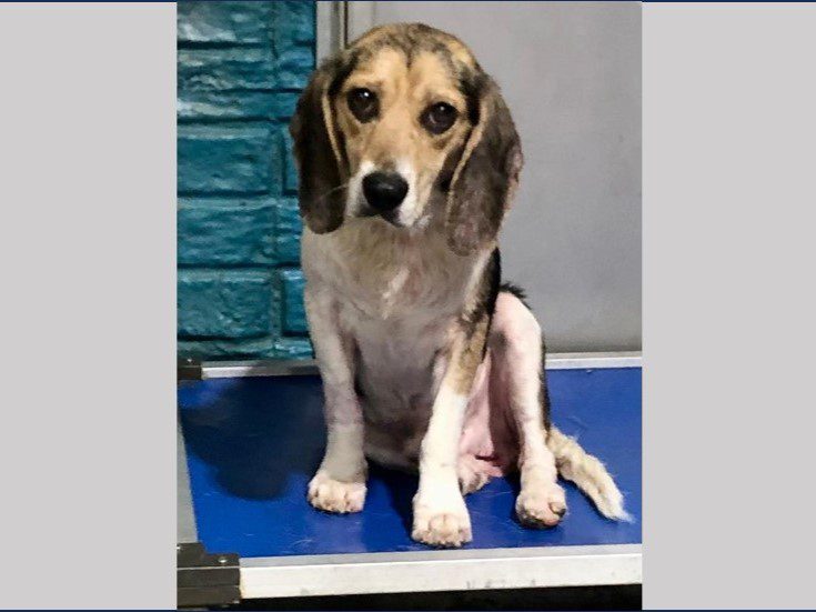 Wiley – Adopted August 2025 Wiley – Adopted August 2025