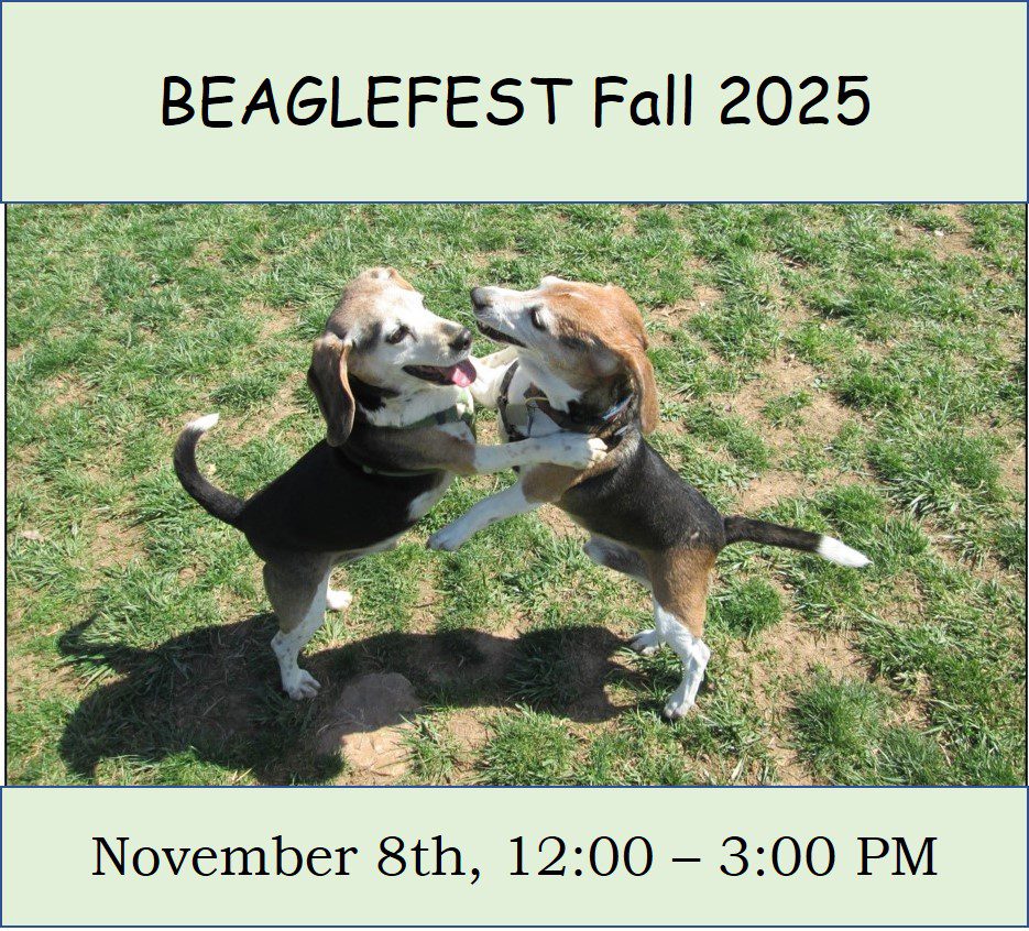 Beaglefest Fall 2025