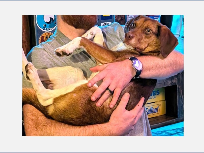 Bronx – Adopted March 2026