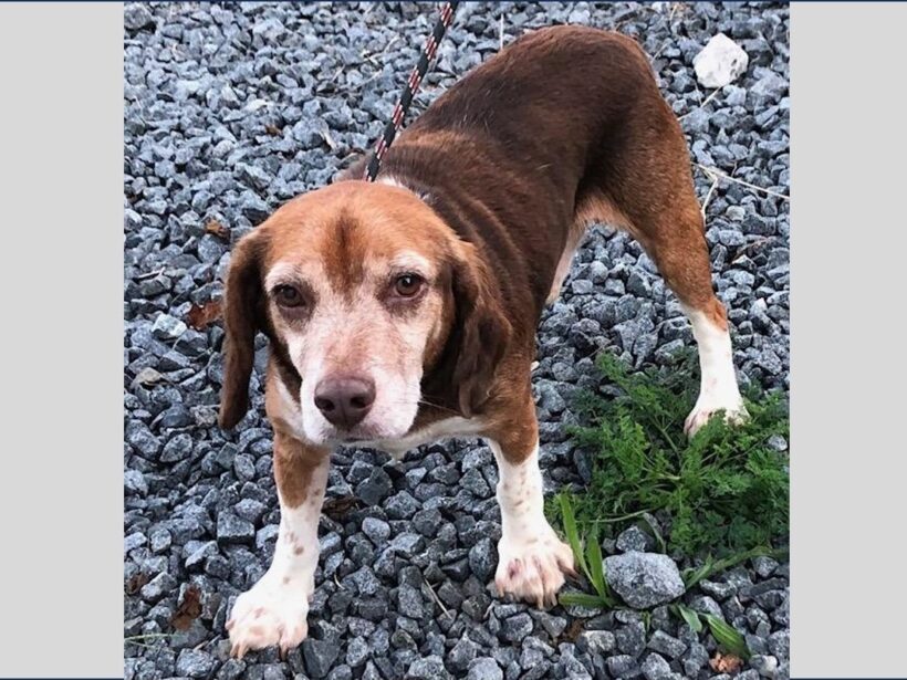 Conrad Coltrane – Adopted October 2025 Conrad Coltrane – Adopted October 2025