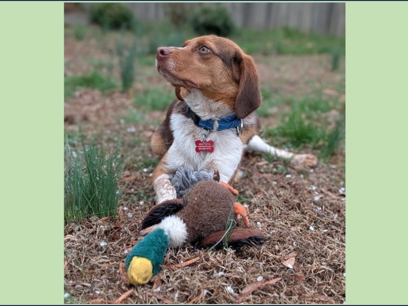 Johannes – Fostered